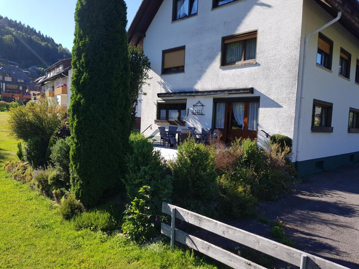 Am Wehrastrand App Eg Todtmoos Exterior foto