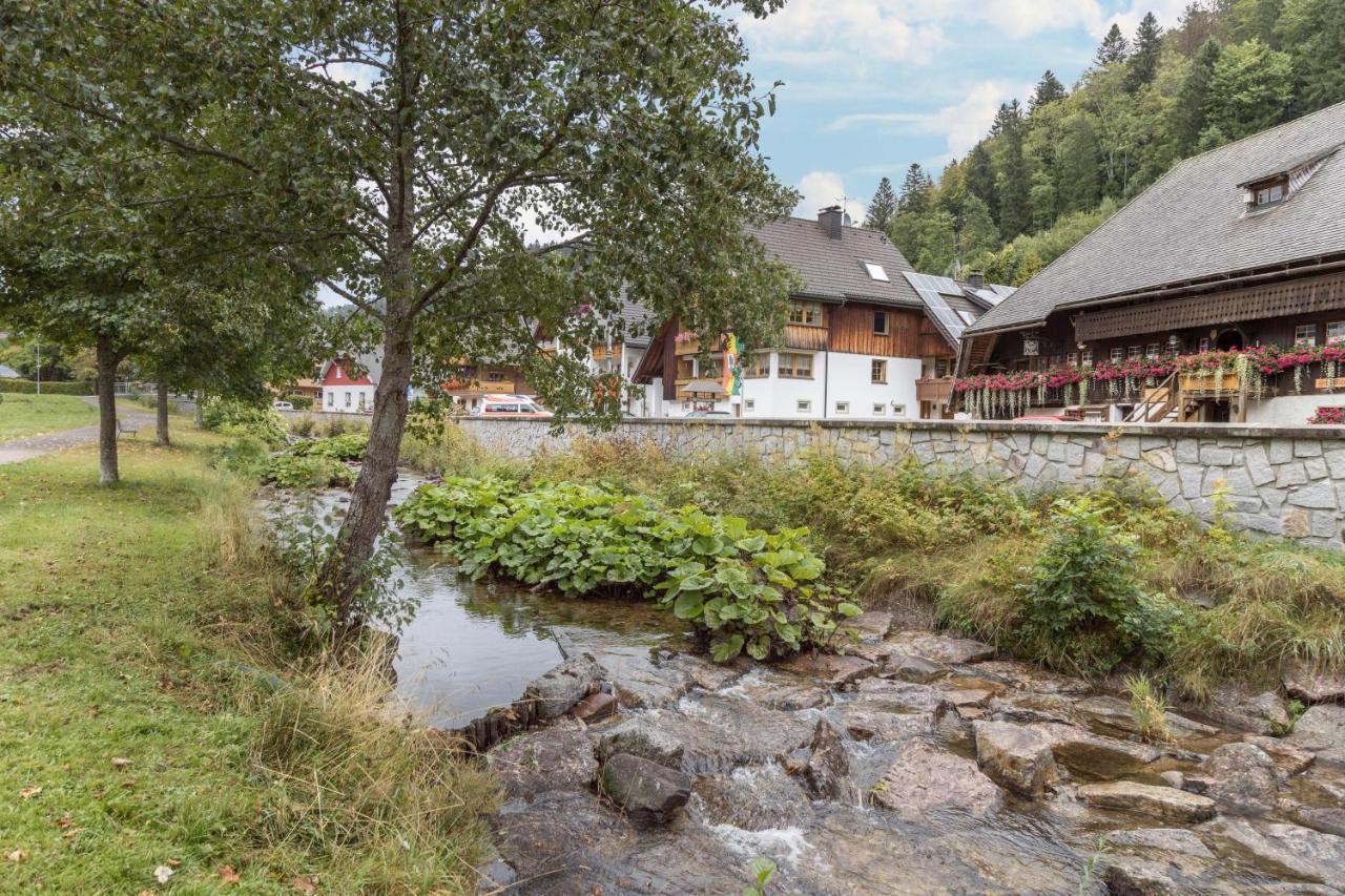 Am Wehrastrand App Eg Todtmoos Exterior foto